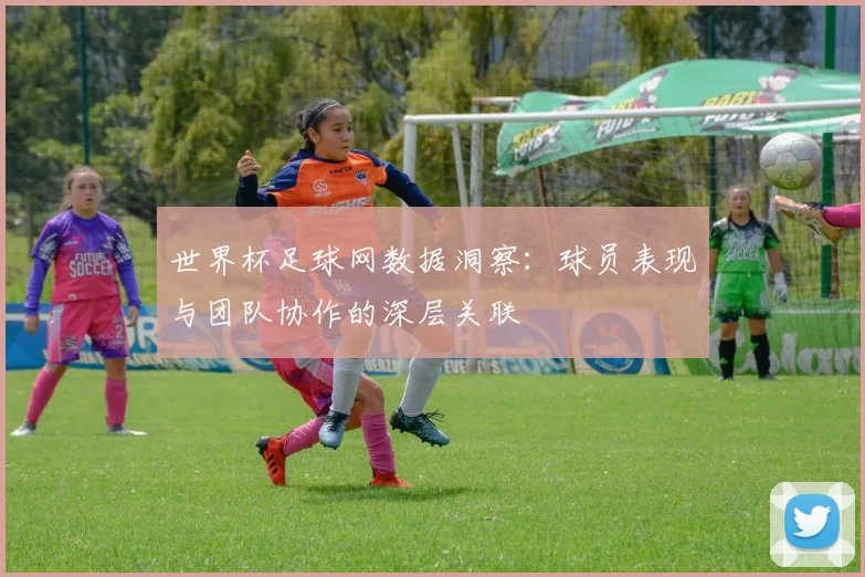 世界杯足球网数据洞察：球员表现与团队协作的深层关联