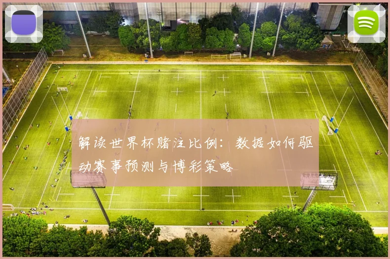 解读世界杯赌注比例：数据如何驱动赛事预测与博彩策略