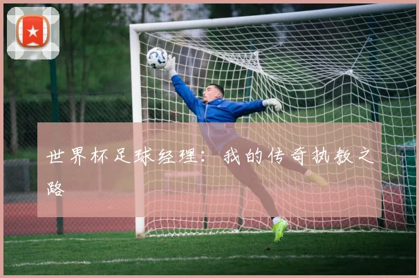 世界杯足球经理：我的传奇执教之路